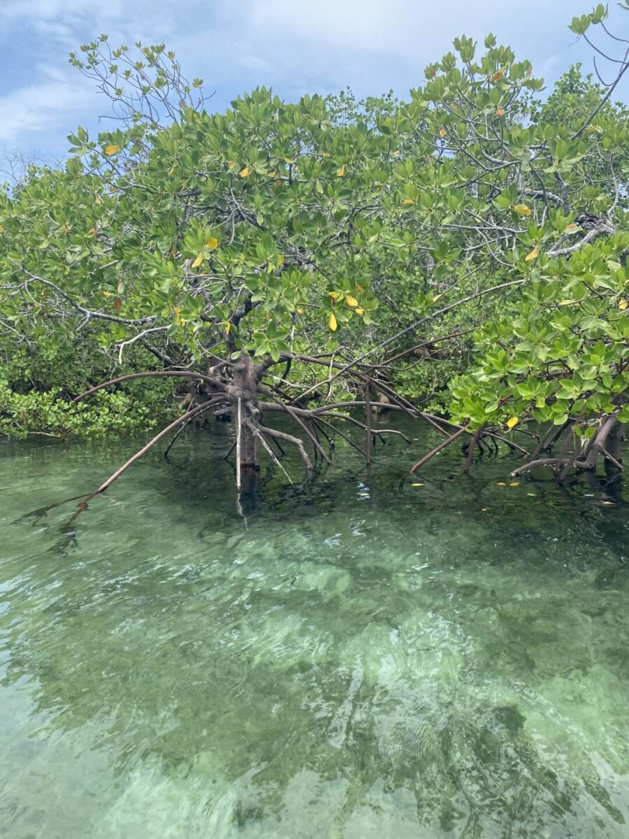 coastman-zanzibar-2024-4