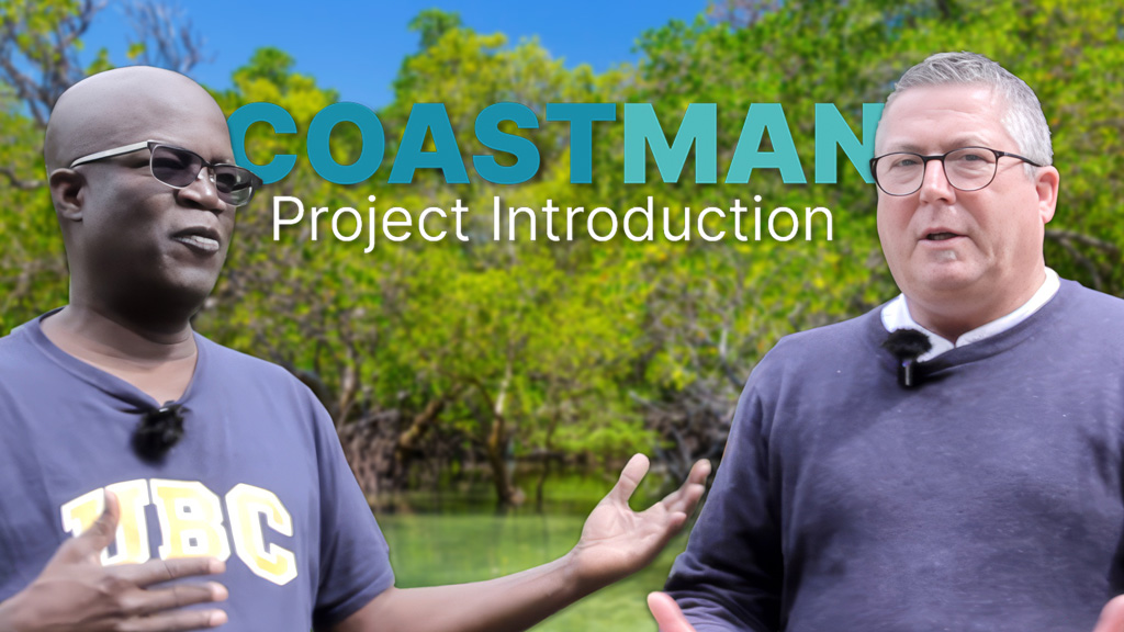 Mangrove roots ecosystem